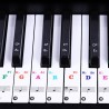 88 keys - Colourful piano notes - transparent keyboard stickersPiano