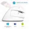 M618 - 2.4GHz - mini vertical wireless mouse - Bluetooth 4 - dual mode - rechargeable - silent - whiteMouses