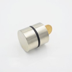 N52 - N35 - neodymium magnet - round - 40 x 20mm - 2 piecesN52
