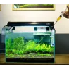 Aquarium - Plants - Heathy Fertilizer - Liquid Syringe - TankAquarium