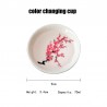 Ceramic mug - thermal color change - Japanese SakuraDrinkware