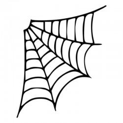 Spider web - car stickerStickers