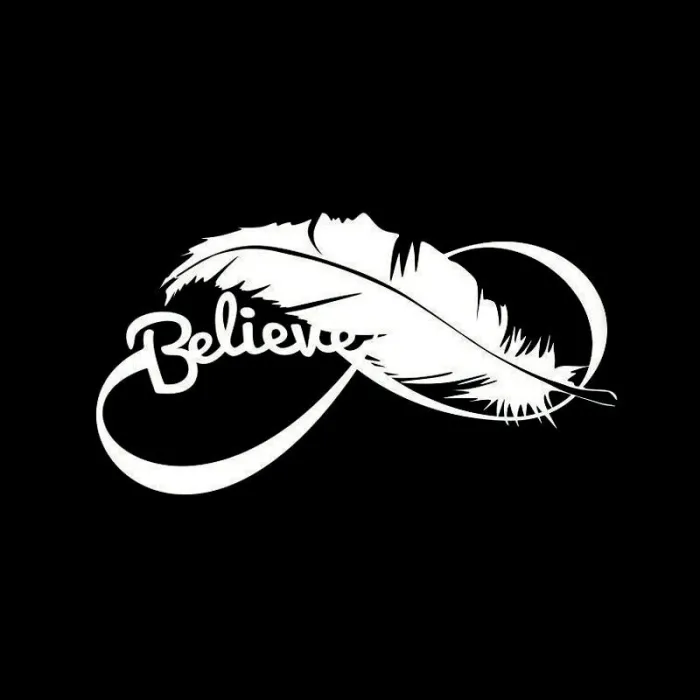 Bird feather - vinyl car stickerStickers