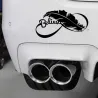 Bird feather - vinyl car stickerStickers