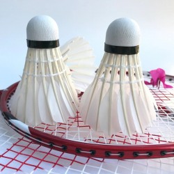 Badminton shuttlecock - white goose feather - 3 - 6 piecesBadminton