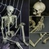 Full life size human skeleton - movable - Halloween decoration - 40cmHalloween & Party