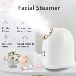 Face steamer - home SPA - skin hydration - spray / mistSkin