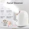 Face steamer - home SPA - skin hydration - spray / mistSkin