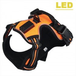 Dog's harness - with LED - adjustable - reflective - waterproofCollars & Leads