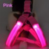 Dog harness - LED - flashing / glowing lights - night safetyCollars & Leads