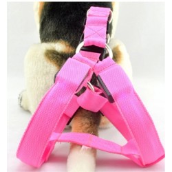 Dog harness - LED - flashing / glowing lights - night safetyCollars & Leads