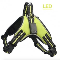 Dog harness - LED - flashing / reflective lights - safety night walk - waterproofCollars & Leads