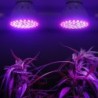 LED plant grow light - bulb - hydroponic - full spectrum - E27 / E14 / MR16/ GU10 - 220V - 2 piecesGrow Lights