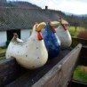 Funny chicken / hen - garden / lawn decoration - resinGarden
