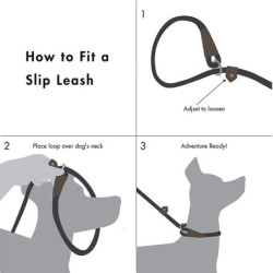 Dog leash - collar - adjustable loop - durableCollars & Leads