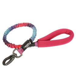 Dog leash - collar - with traction rope / buckleCollars & Leads