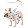 Dog harness with leash / buckle - rainbow dotsCollars & Leads