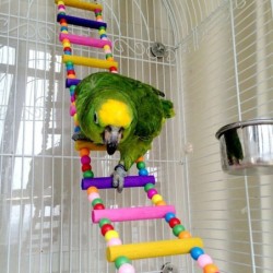Colorful wooden drawbridge - toy for birds / parrotsBirds