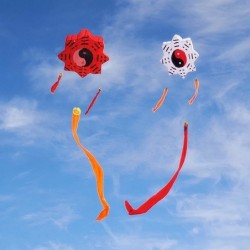 Tai Chi Gossip - traditional kite - long tailKites