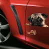 Car window sticker - vinyl - waterproof - dog with a snailStickers