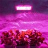 Plant grow lamp - LED hydroponic panel - 300W / 600WGrow Lights