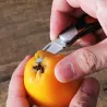 Mini folding pocket knife - with keychain - stainless steelKnives & Multitools