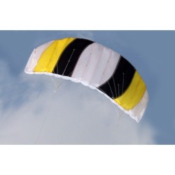 Colorful sports beach kite - 1.4m dual lineKites