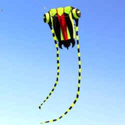 Large colorful kite - green trilobiteKites