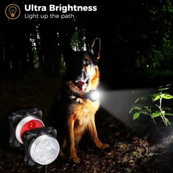 Pet collar light - LED - safety - night walkingCollar & Leads