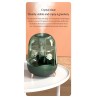 DEERMA - ultrasonic air humidifier - diffuser - aromatherapy - transparent - with water filtration - 5 LHumidifiers
