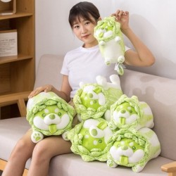 Green cabbage dog - soft pillow - toyCuddly toys