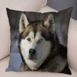 Decorative cushion cover - Siberian husky dog - 45 * 45 cmCushion covers
