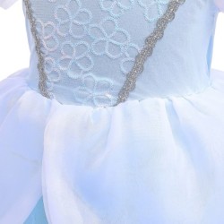 Princess blue dress - girls costumeCostumes