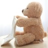 Peekaboo bear - talking plush toyCuddly toys