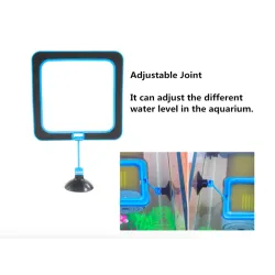 Aquarium fish food feederAquarium