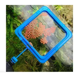 Aquarium fish food feederAquarium