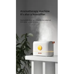 Ultrasonic air humidifier - essential oils diffuser - colorful LED flameHumidifiers