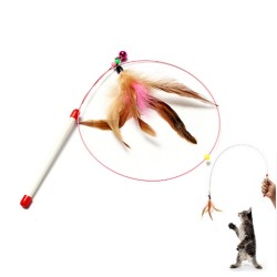 Kitten Pet Teaser Feather Wire ToyAnimals & Pets