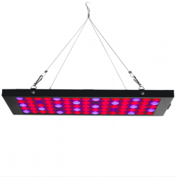 Egrow GL-2 40W LED grow light lamp with red blue UV & IR spectrumGrow Lights