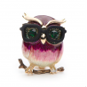 Owl with glasses - broochBrooches