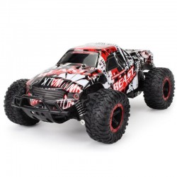 2811 1/20 2.4G 2WD high speed RC car - drift radio controlled - racing climbing off-road truck