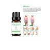 Natural essential massage oil - slimming - fat burning - 2 pcsMassage