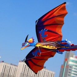 3D dragon kite with tail & line 100mKites