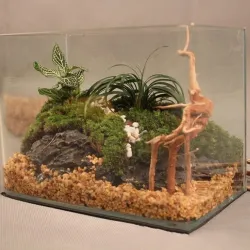 Natural tree trunk driftwood - aquarium & fish tank plant - wooden decorationAquarium