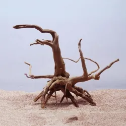Natural tree trunk driftwood - aquarium & fish tank plant - wooden decorationAquarium